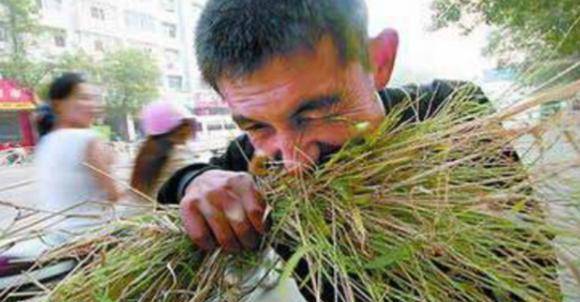 儿,清蒸八宝猪,江米酿鸭子,罐儿野鸡……一个《报菜名》牵动多少味蕾