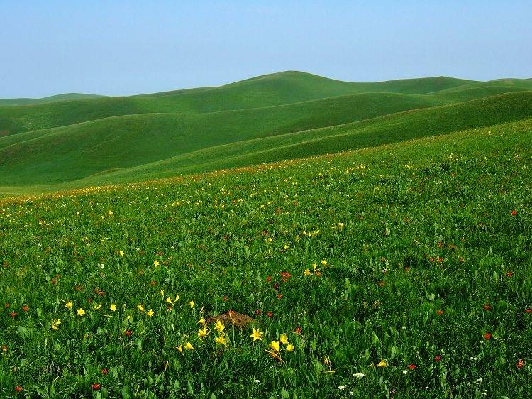 一家人去内蒙敕勒川旅游7天大概多少钱敕勒川旅游七天六晚价格