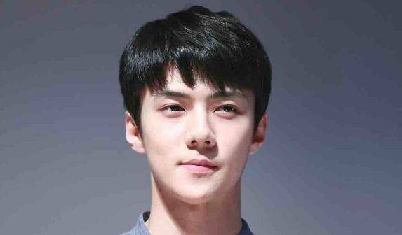 国产剧出现鹿晗与吴世勋的同人文粉丝真的接受不了