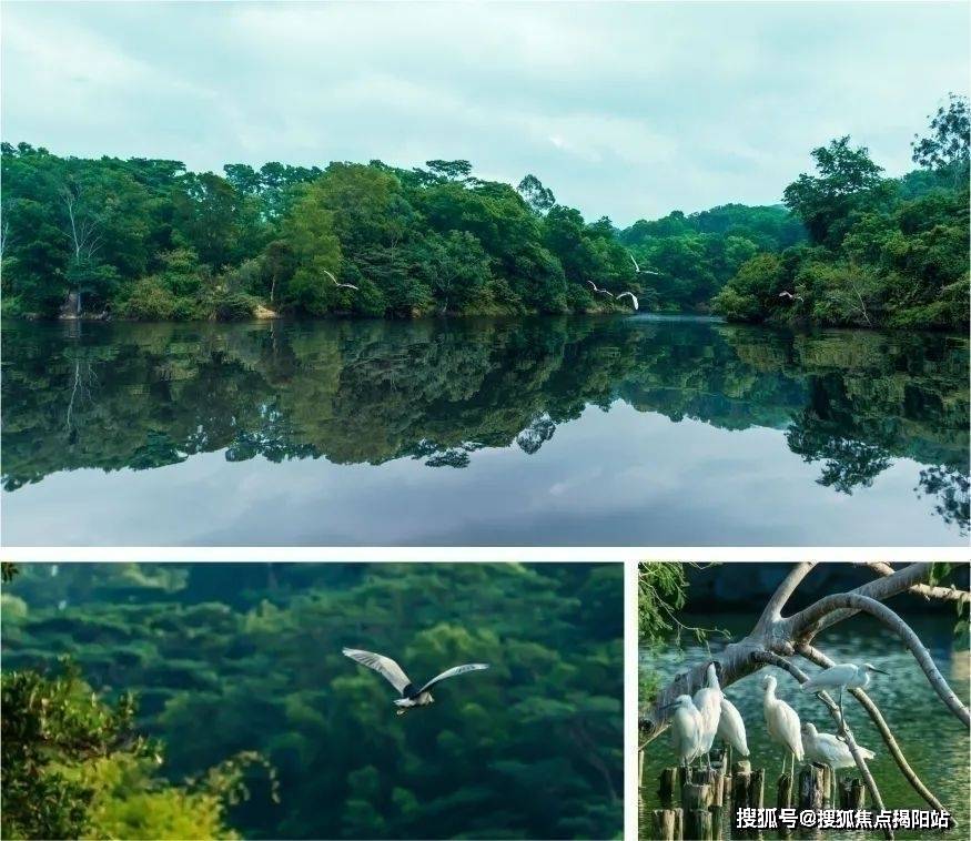 另有虾公岩水库,仙女湖,企洞水库等5a景区分布左右,以及"全球最大