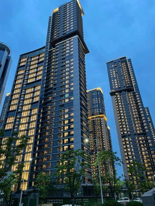 壹号院杭州滨江大平层壹号院首页网站壹号院欢迎您楼盘详情价格