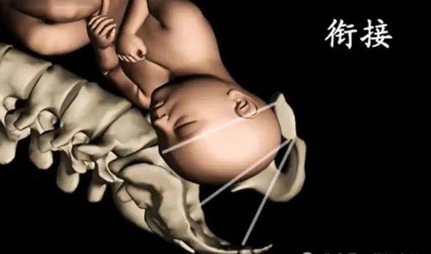 7张高清图片带你了解自然分娩的全过程。隔着屏幕都疼，宝宝也在努力_妈妈_产道_行动。