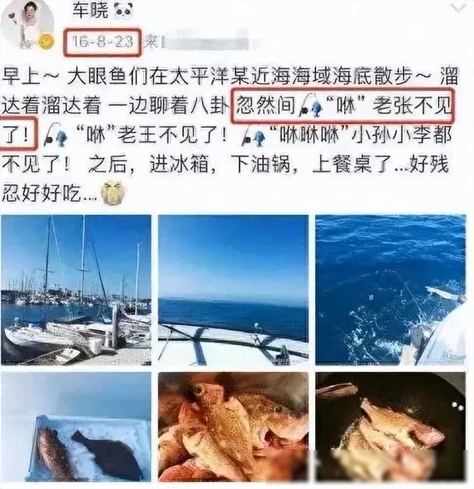 张涵予车晓事件图片