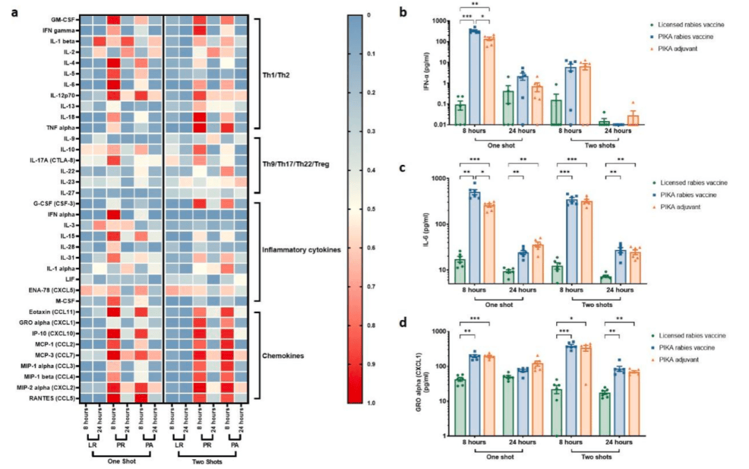 国内常见多种狂犬病毒株如何预防新型pika佐剂疫苗可能
