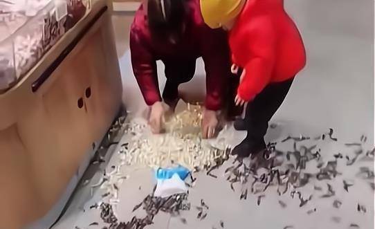 小孩逛超市将散货零食撒一地,家长蹲地捡回货架被质疑_网友_孩子_奶奶