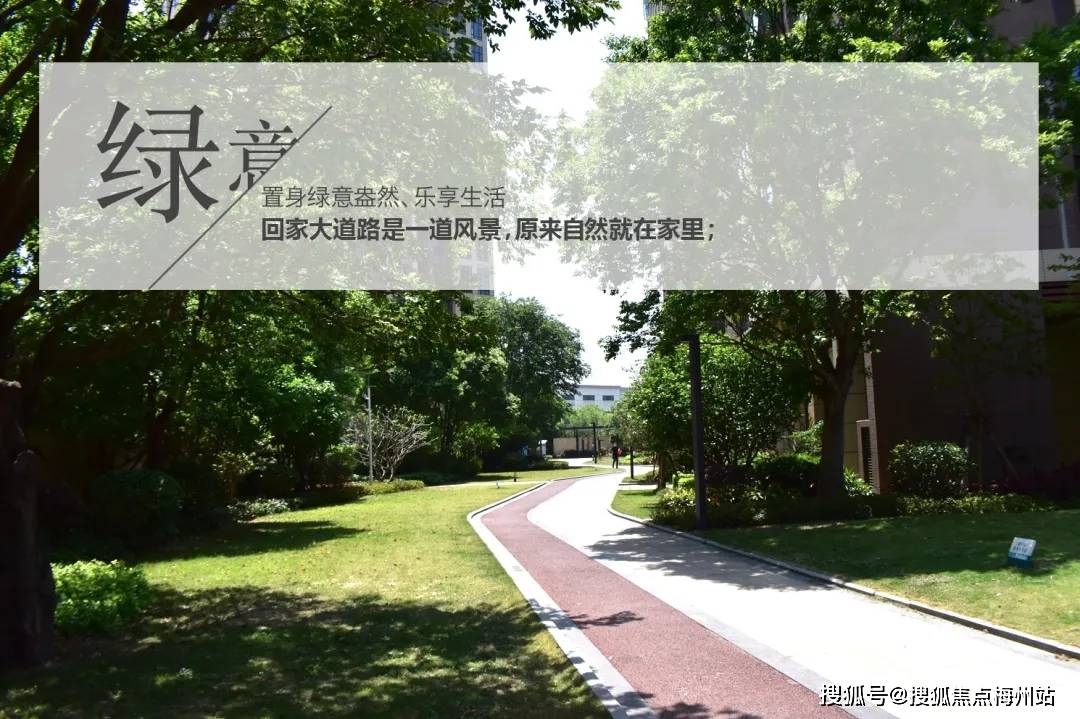 沙一珑庭沙一珑庭欢迎您沙一珑庭首页网站楼盘详情价格户型