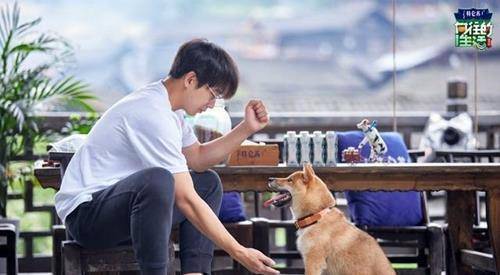 原创向往的生活第五季定档张艺兴将带来大批流量强势加盟黄磊何炅嘉宾