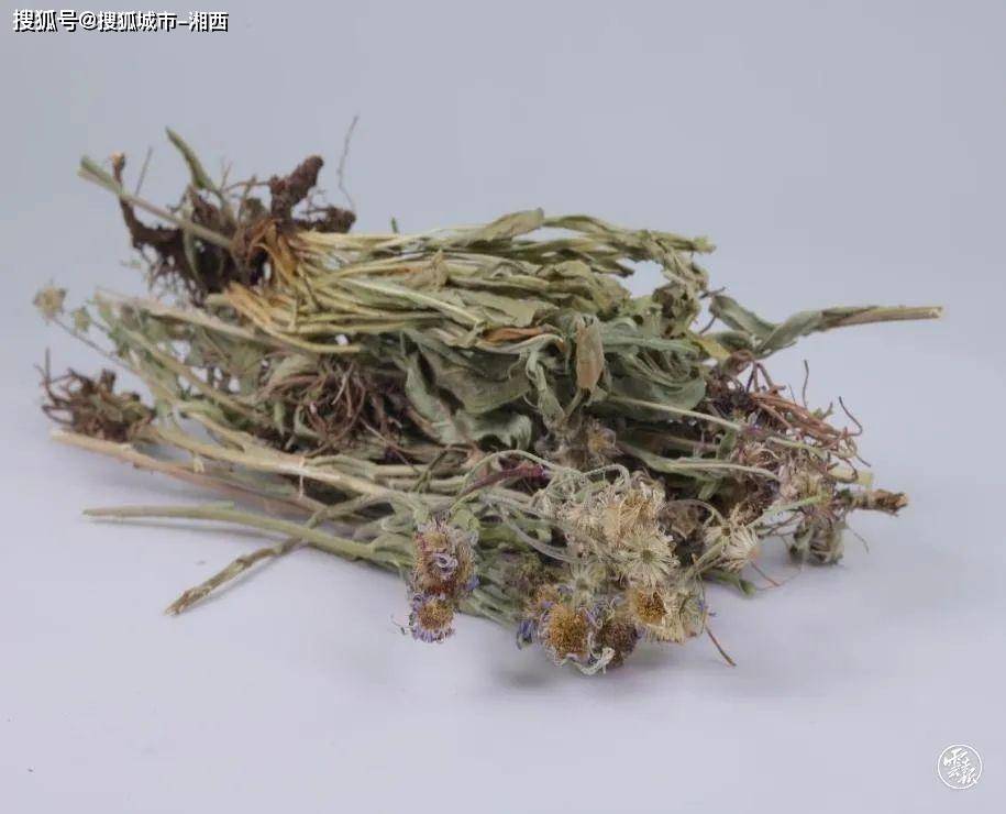 普洱茶_滇红_宣威