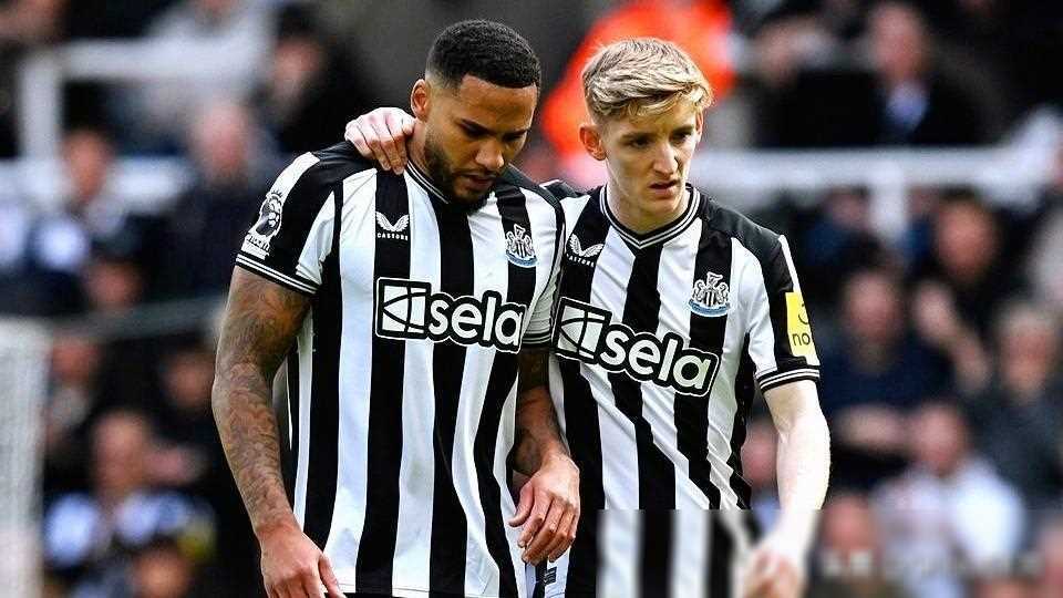 足球前瞻纽卡争胜热刺英超夺冠竞争布伦特福德胜谢菲联