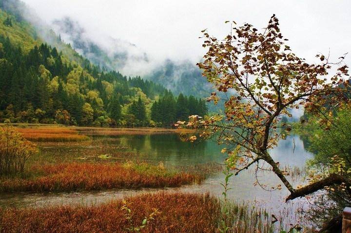 第二天,提前买好车票及门票,安排好时间.