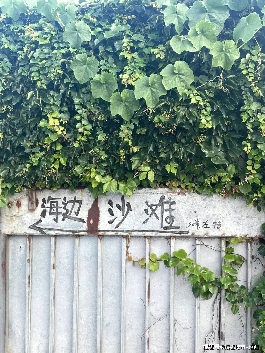 厦门旅游几天比较好玩五天四晚旅行攻略