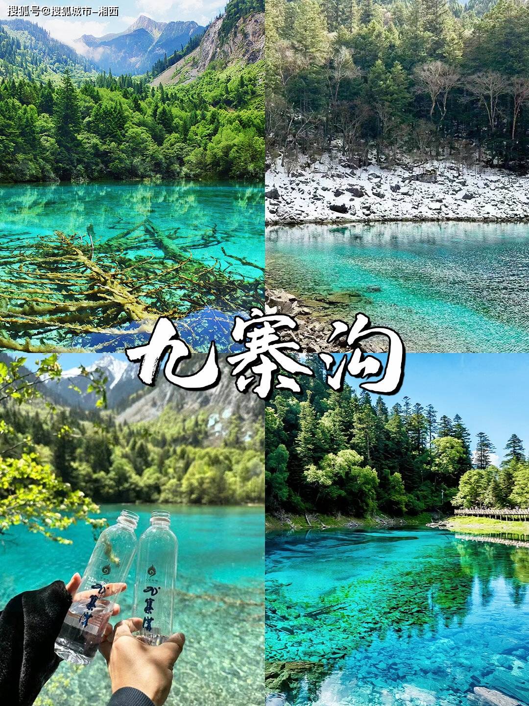 四川都江堰黄龙旅游5天费用攻略成都九寨沟五日游多少钱避坑