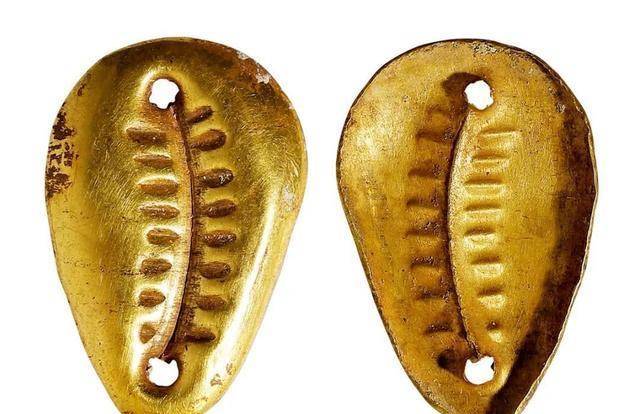 原创古代货币是贝壳为什么穷人不去海边偷偷多捡点从而发家致富