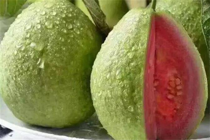 原创番石榴也叫芭乐它营养丰富不用削皮也不用吐籽甘甜可口