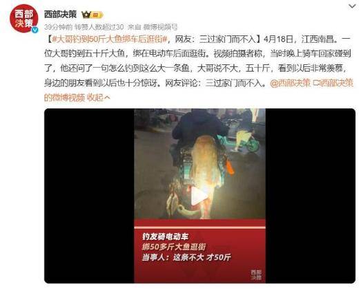 原创            男子钓到50斤大鱼绑车后逛街！三次过家门都没进