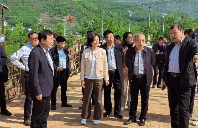 南阳市人大常委会王黎生一行调研内乡县多领域发展情况