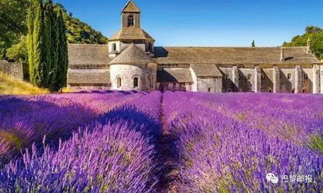 巴黎雷欧:普罗旺斯薰衣香