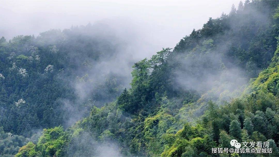 安吉春风桃源售楼处电话→春风桃源24小时热线→营销中
