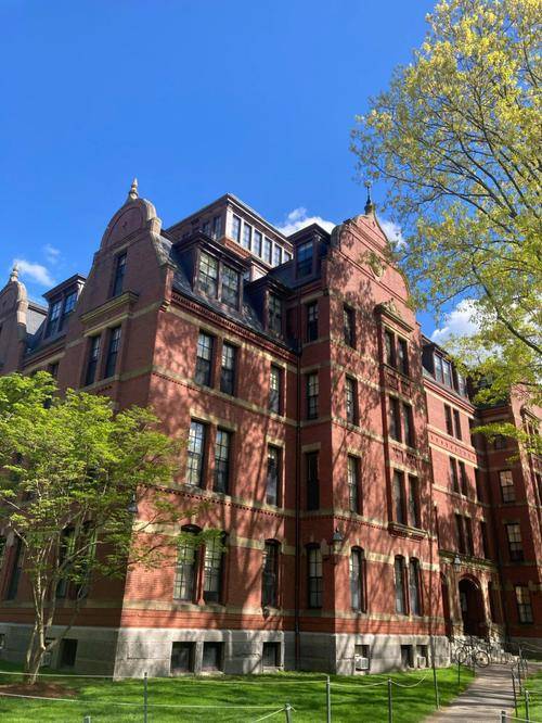 哈佛大学肯尼迪学院博士后,回国的职业发展,薪资待遇如何?