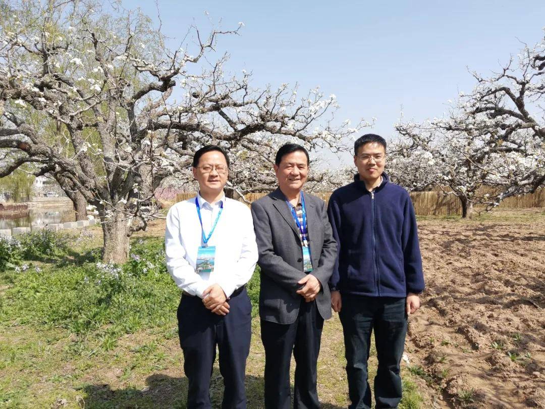 【2024云帆·彭城之春诗词名家笔会】杨强 卷
