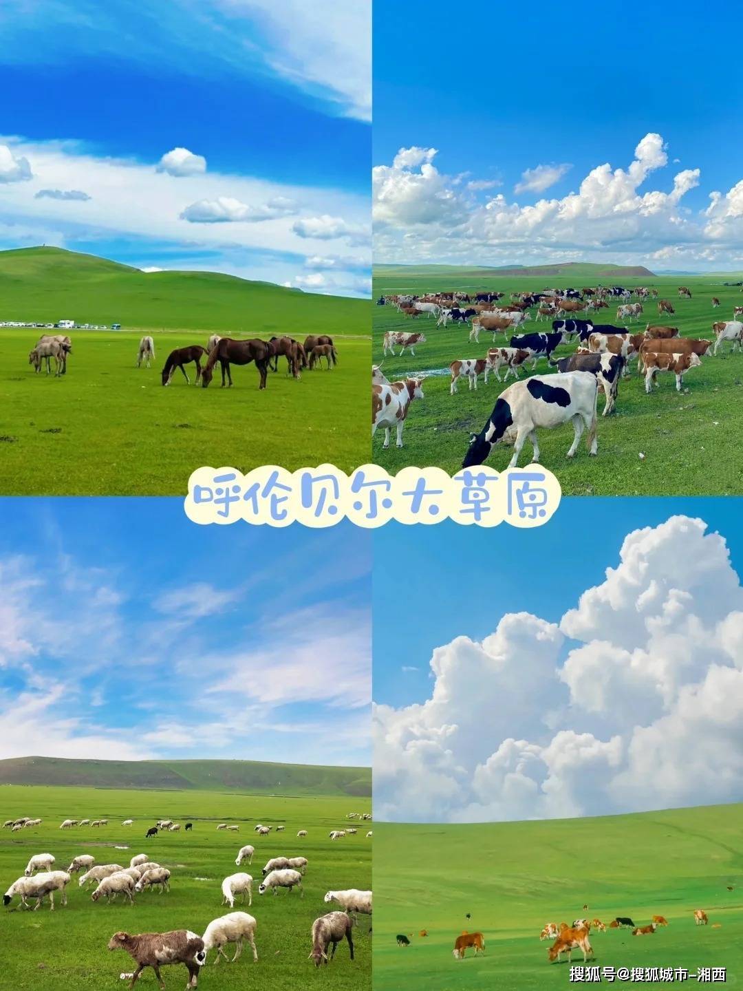 去内蒙旅游需要注意什么超详细建议收藏_蒙古包_希拉穆仁草原_住宿