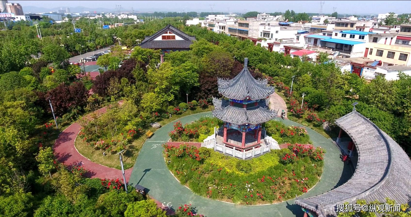 河南内乡:满城月季满城香