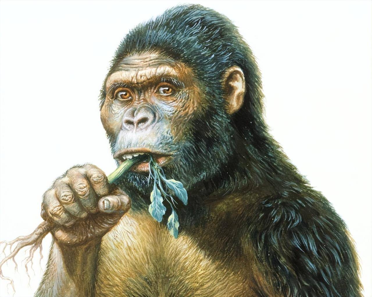 一万多年前的洞穴壁画,或揭示了一个秘密,地球是被精心设计过?