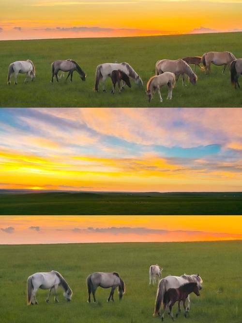 码住!旅游团1000去内蒙