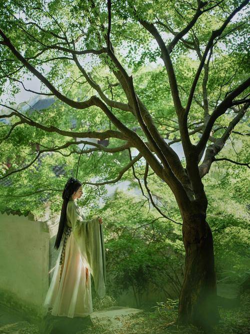 看完点赞!去华东有必要跟团嘛?