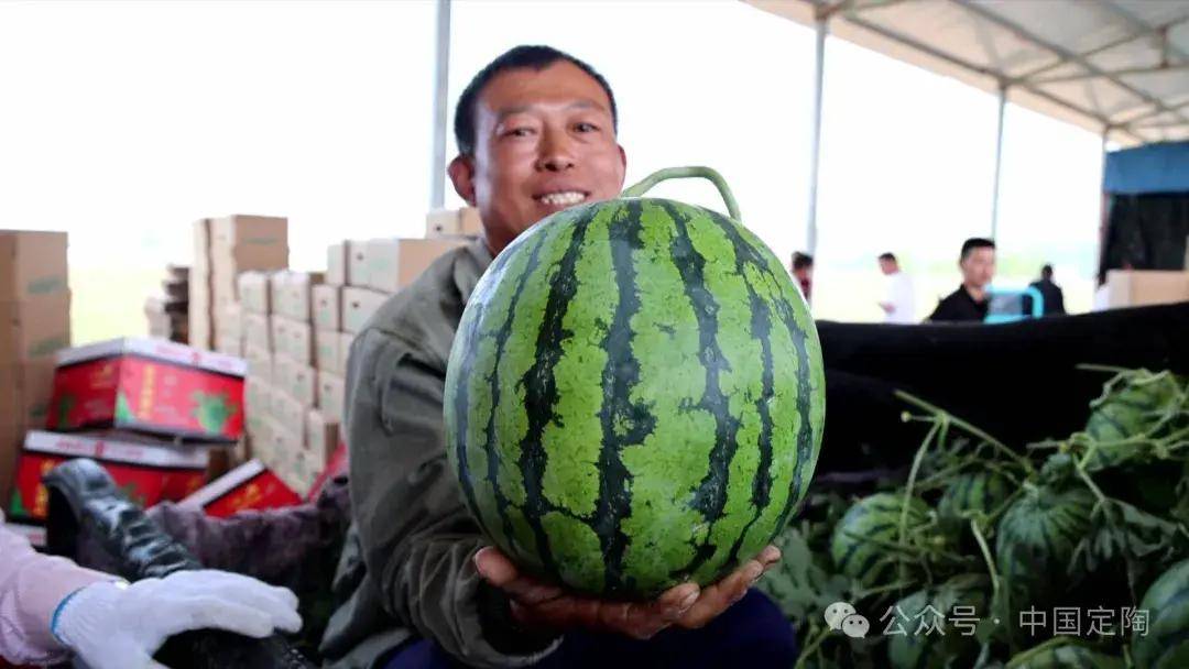 4万亩!定陶第九届南王店西瓜节开幕