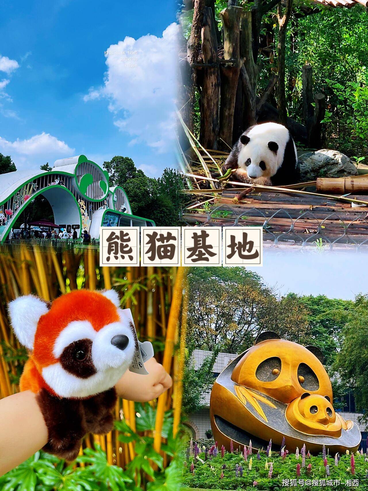 成都市区熊猫基地武侯祠5日游攻略