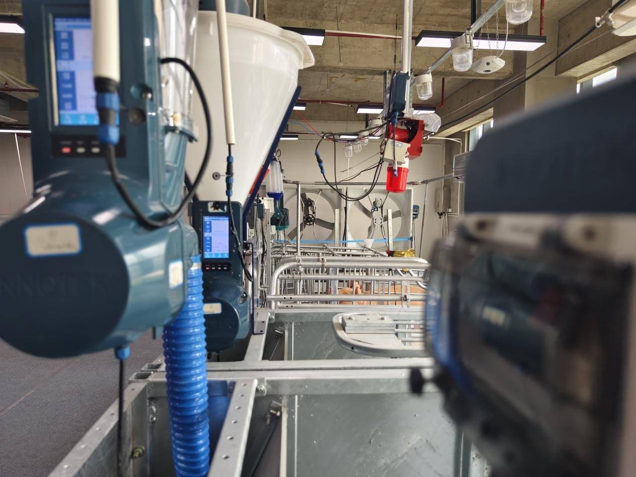 Cleaning and disinfection equipment