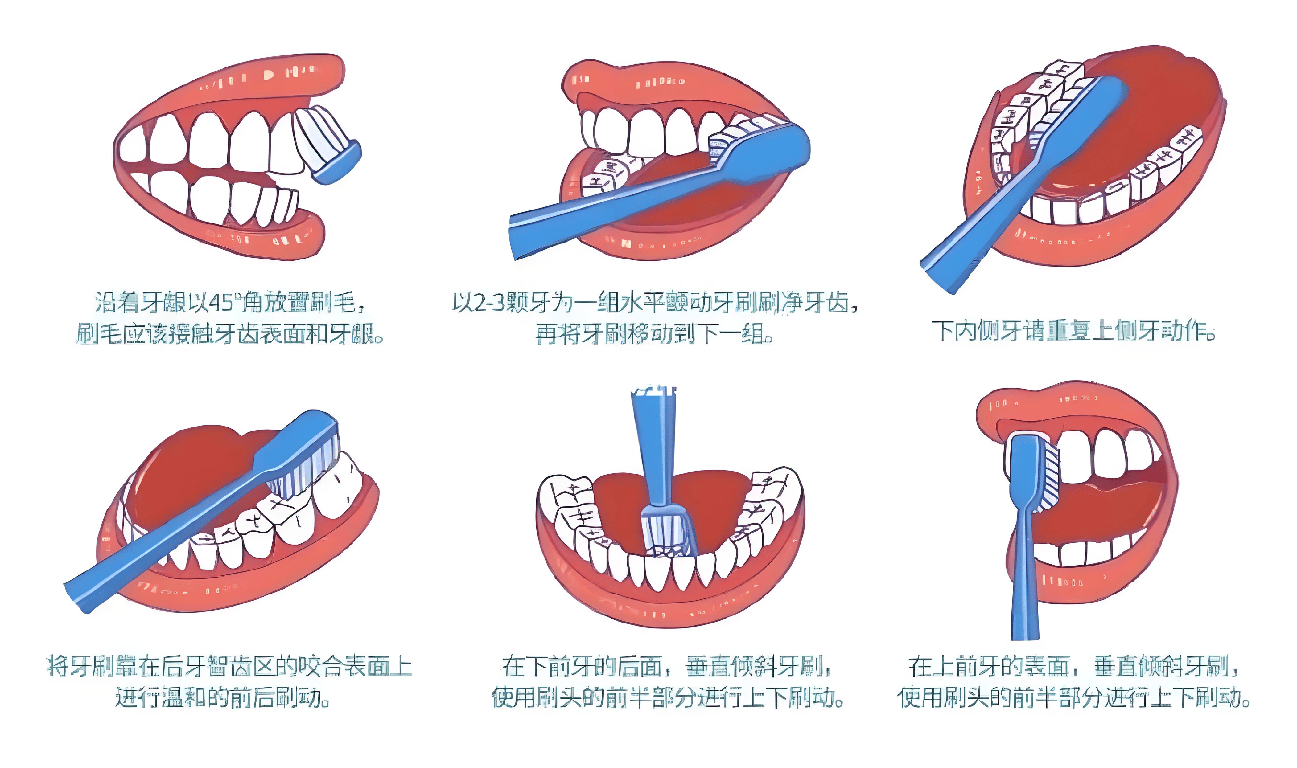 声波牙刷的正确刷法图片