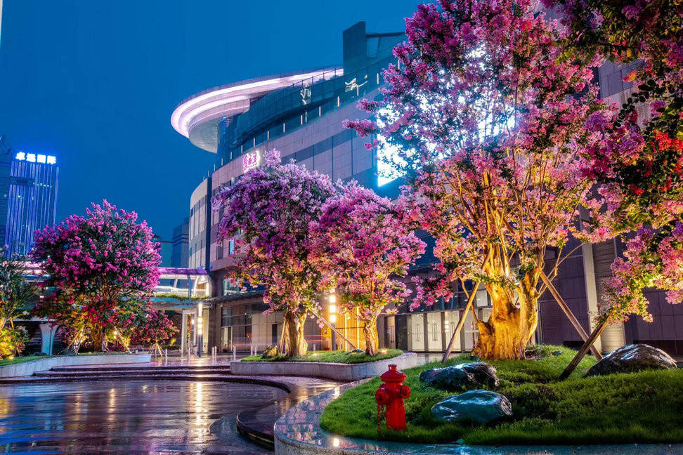 高品质旅行!去香港澳门旅游需要多少钱?