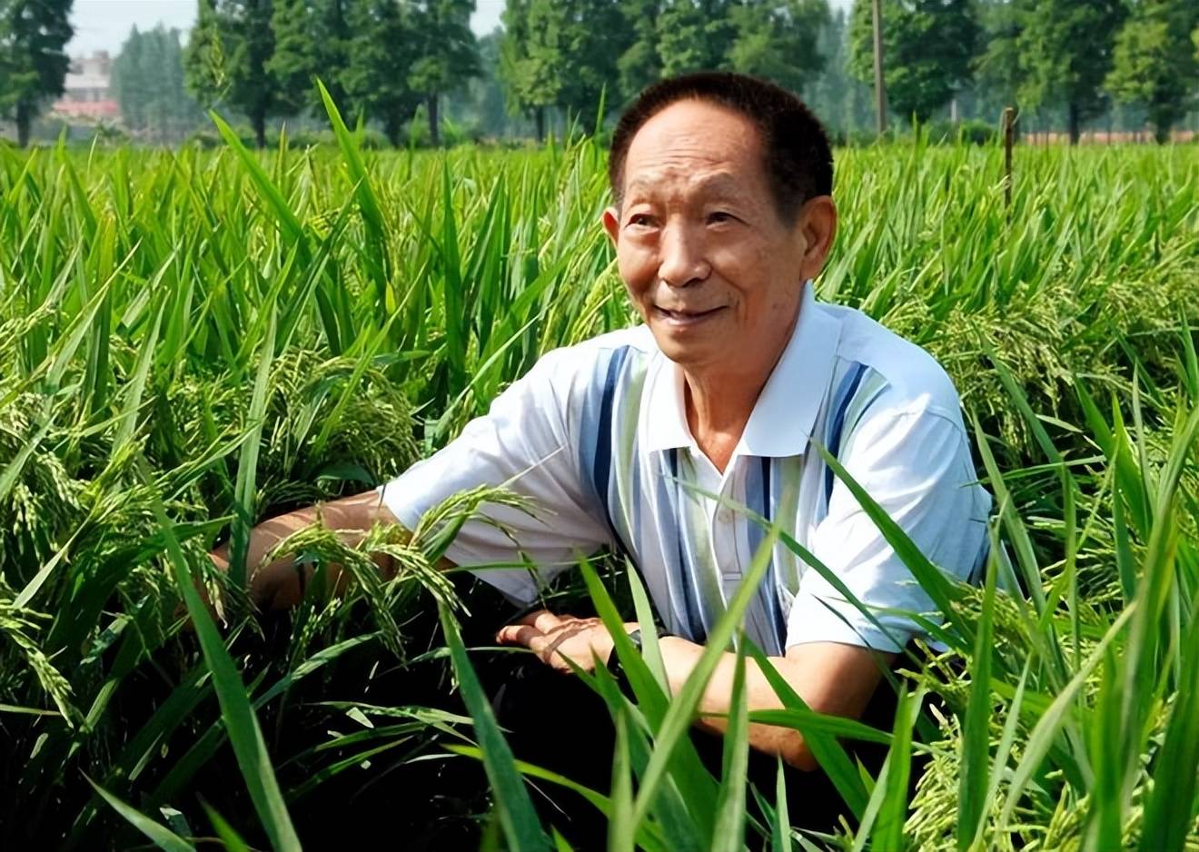 对于食用转基因粮食,袁隆平院士持谨慎态度:当代人吃了没事,不代表下