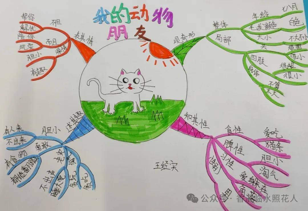 思维导图画作文