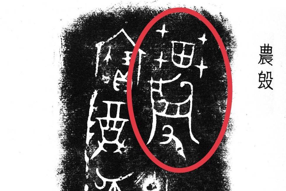 字里行间话桑麻:探索甲骨金文“农”字背后的古老农耕智慧与文化_农业_字形_耕作