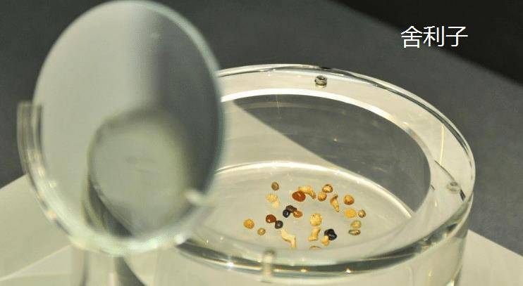 大雨冲出无底洞飘来"奇香",专家探秘佛塔地宫,发现"悟空佛牙"!