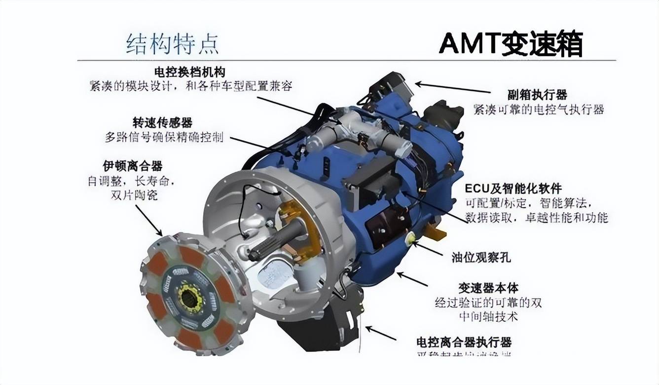amt是什么意思 来自搜狐网