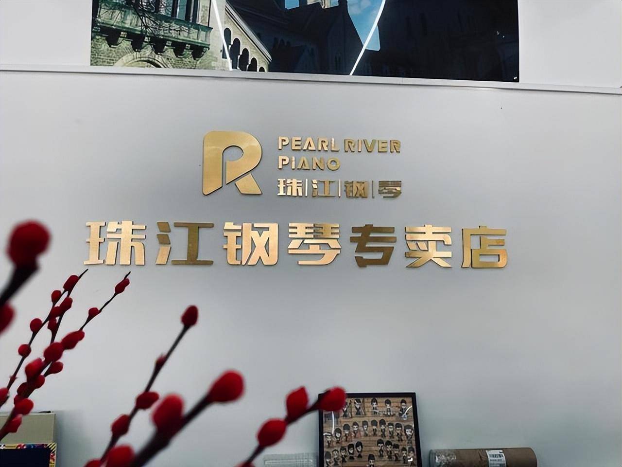 呼市珠江钢琴p系列买什么型号性价比高?