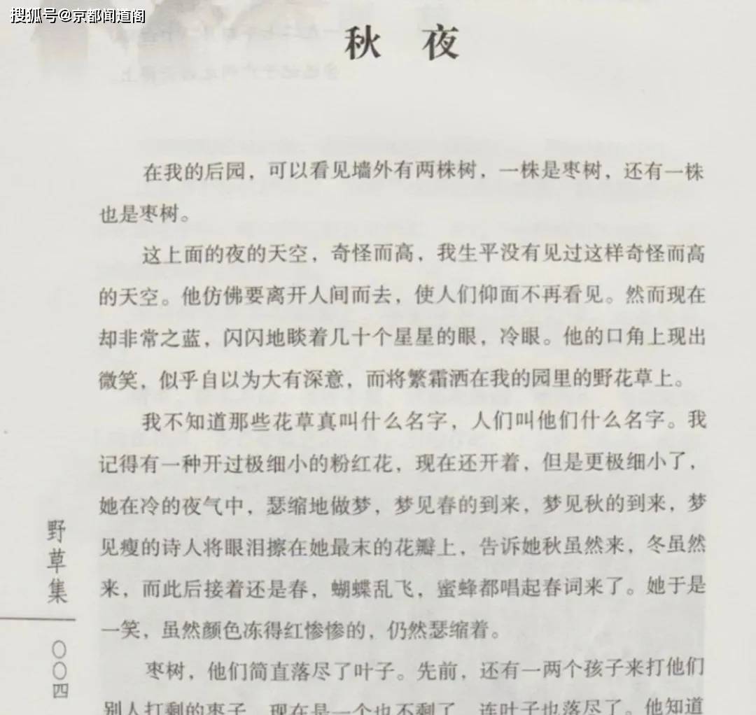 《秋夜》是鲁迅先生1924年9月15日创作的散文诗,最初发表在1924年12月