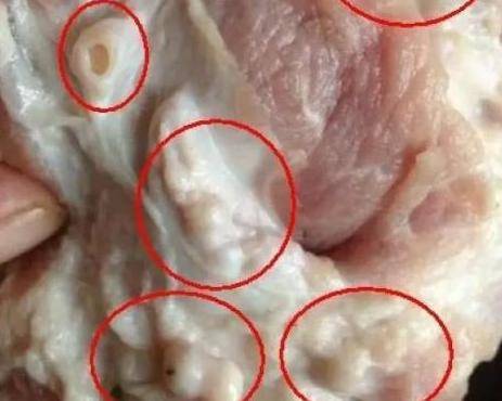 猪身上的一个好东西,降血压,血糖,血脂,平时多吃点,别错过