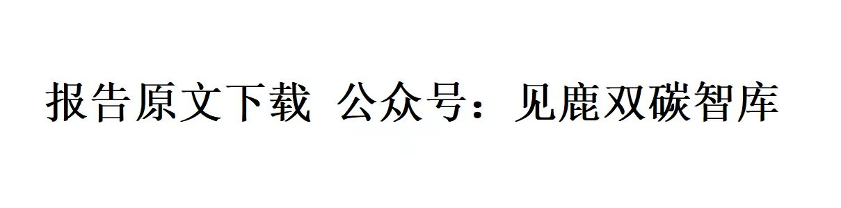 电子凭证数智化无需报销绿皮书