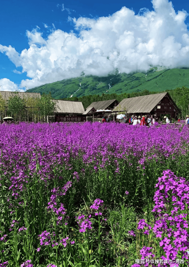 6月份去伊犁旅游适合吗,去伊犁5日游攻略推荐,看完就出发