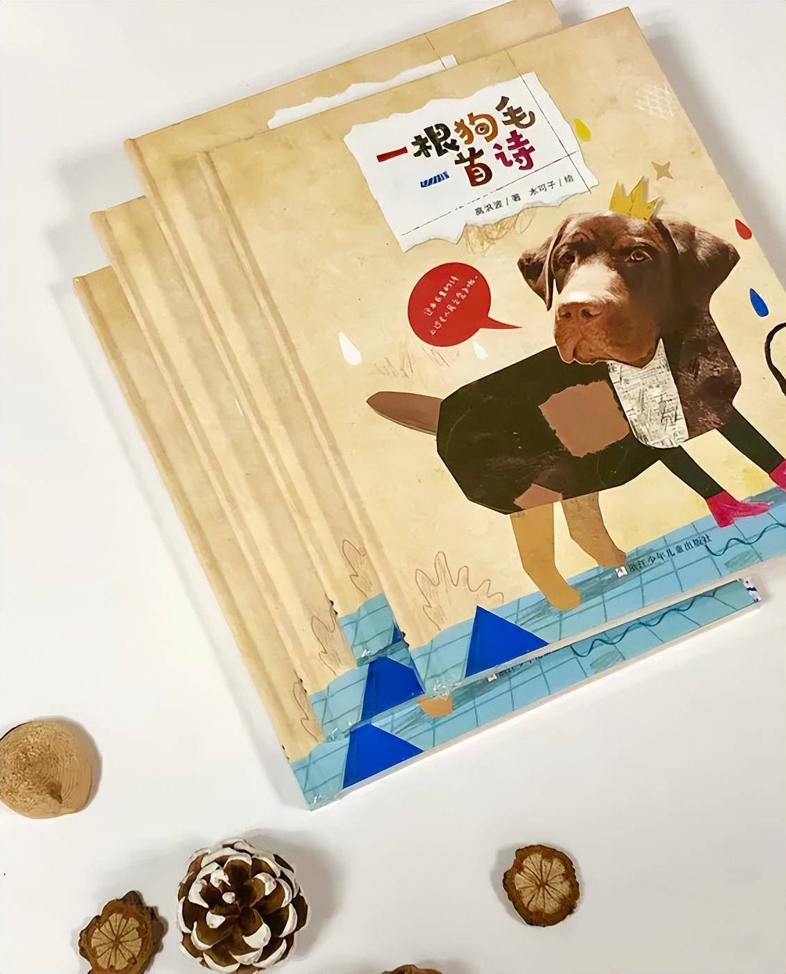 高洪波新作《一根狗毛一首诗》 这部绘本为啥成年人也爱读