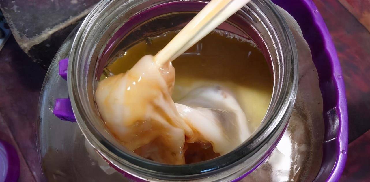 不是动物也不是植物,为何能价值百万?