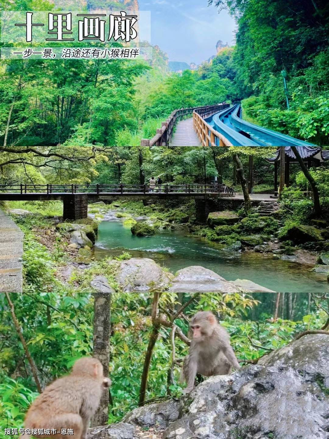 阿凡达,悬浮山,天下第一桥,迷魂台,神龟问天,连心桥,情人谷,中韩友谊