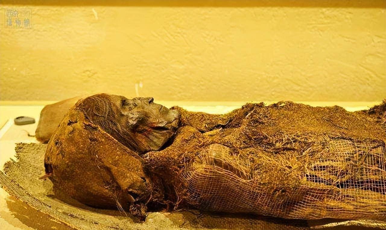 100万卖出一副彩棺,被抓后才知丢弃的尸体更值钱_墓穴_克里木_罗布泊