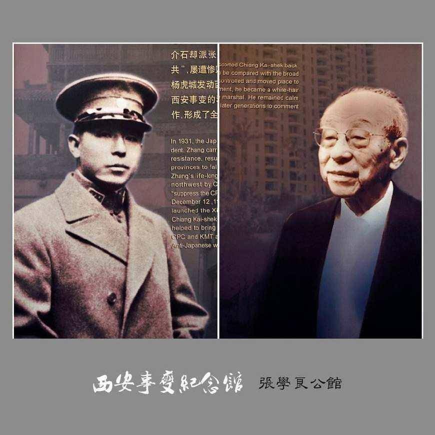 张学良:身负"不抵抗将军"骂名,却是推动历史进程的功勋_东北_蒋介石