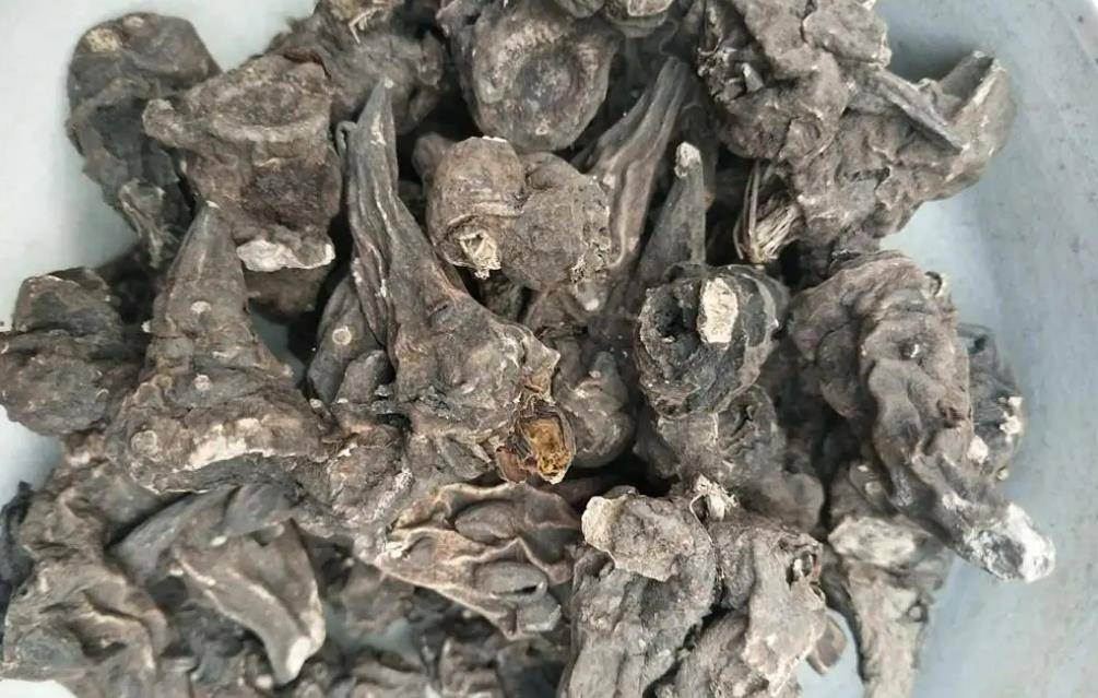 18年江苏22岁小伙网购生草乌,泡水喝后中毒身亡,卖家被罚180元